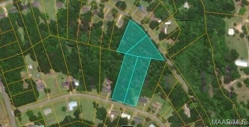 0 County Road 232nd Rd, Valley Grande, AL 36701 - photo 2