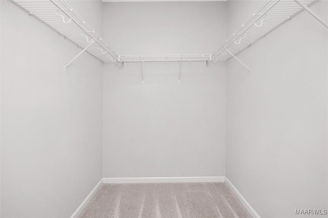 1600 Hawthorne Ln, Prattville, AL 36066 - walk in closet featuring carpet