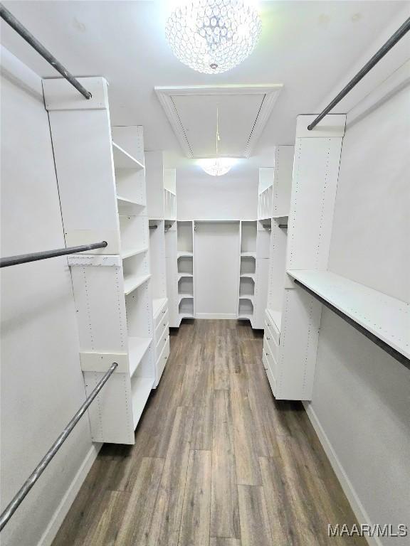 49 Berkeley Rd, Selma, AL 36701 - spacious closet featuring attic access and dark wood finished floors