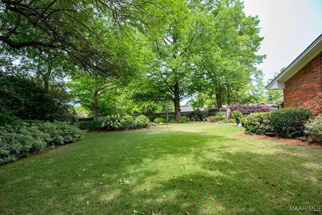 view of yard