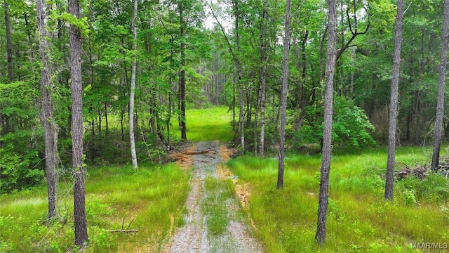 2238 Jug Factory Rd, Wetumpka, AL 36093 - photo 3