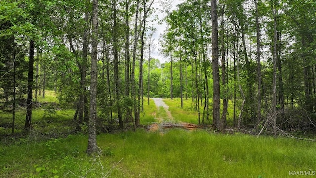 2238 Jug Factory Rd, Wetumpka, AL 36093 - photo 4