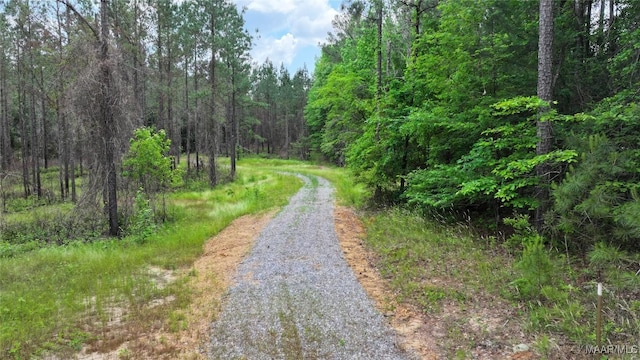 2238 Jug Factory Rd, Wetumpka, AL 36093 - photo 5