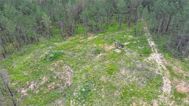 2238 Jug Factory Rd, Wetumpka, AL 36093 - photo 6