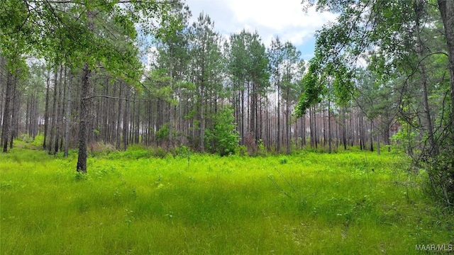 2238 Jug Factory Rd, Wetumpka, AL 36093 - photo 8