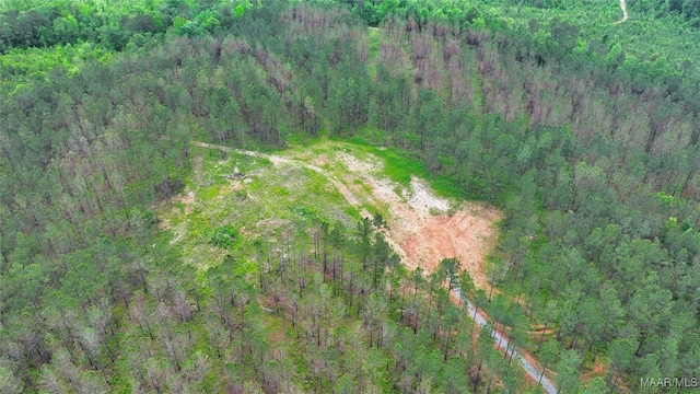 2238 Jug Factory Rd, Wetumpka, AL 36093 - photo 9