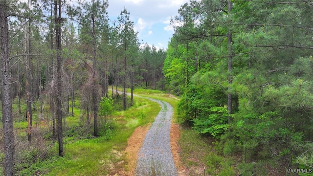 2238 Jug Factory Rd, Wetumpka, AL 36093 - photo 11