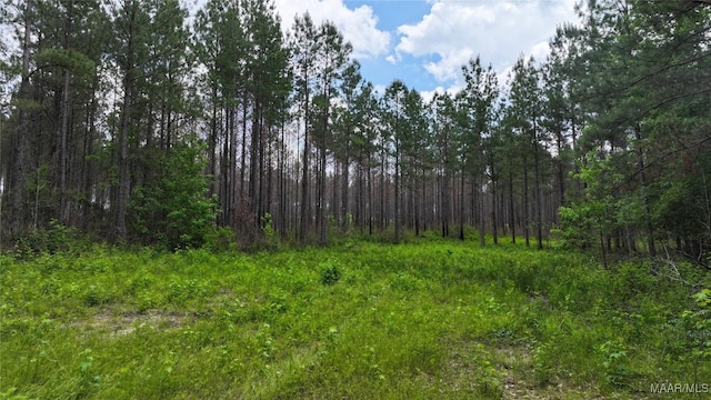 2238 Jug Factory Rd, Wetumpka, AL 36093 - photo 12