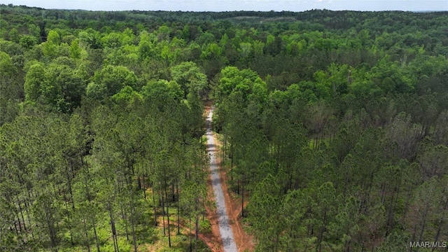 2238 Jug Factory Rd, Wetumpka, AL 36093 - photo 13