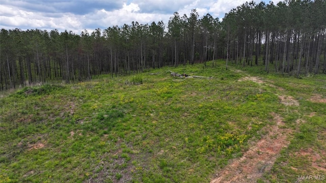 2238 Jug Factory Rd, Wetumpka, AL 36093 - photo 14