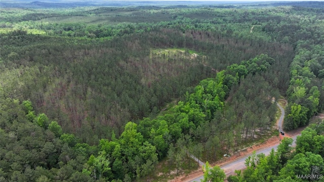 2238 Jug Factory Rd, Wetumpka, AL 36093 - photo 15