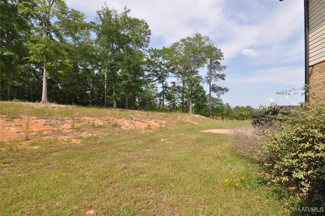 1496 County Road 81st Rd, Prattville, AL 36067 - photo 56