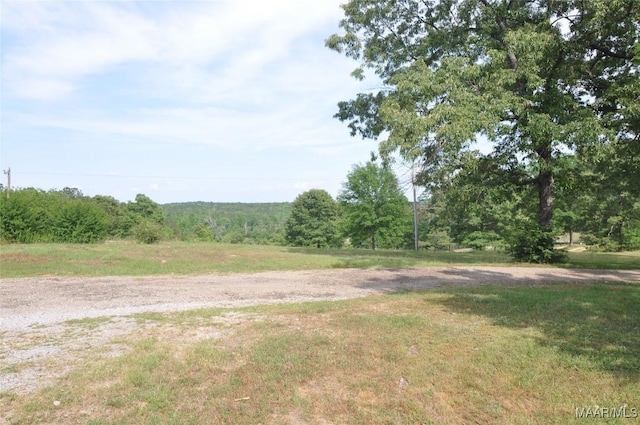 1496 County Road 81st Rd, Prattville, AL 36067 - view of yard