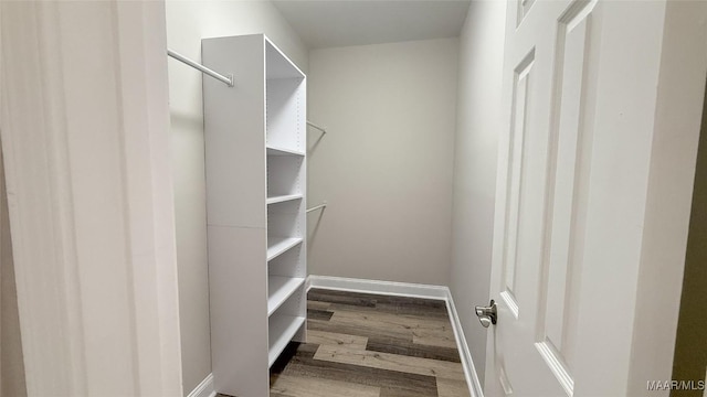 walk in closet featuring wood finished floors