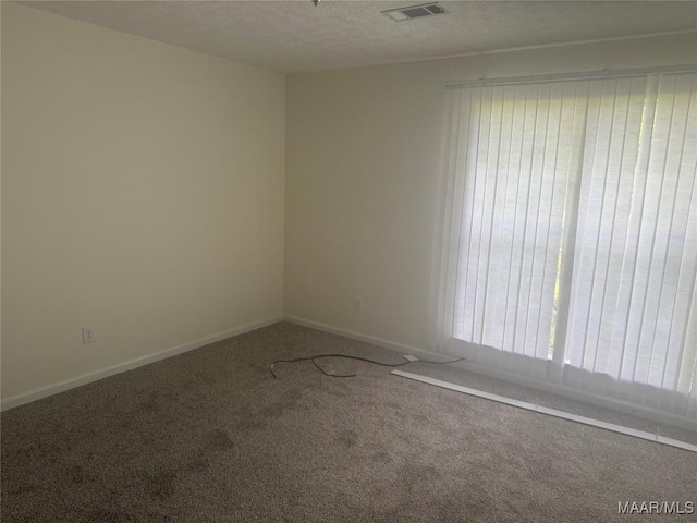 176 Lawrence Cv, Valley Grande, AL 36703 - carpeted empty room featuring healthy amount of natural light, baseboards, and a textured ceiling