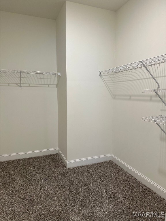 5168 Sedona Dr, Montgomery, AL 36116 - spacious closet with carpet flooring