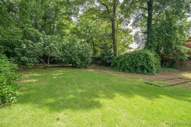 view of yard