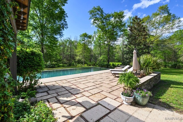 1777 Barganier Rd, Cecil, AL 36013 - outdoor pool featuring a patio area and a yard
