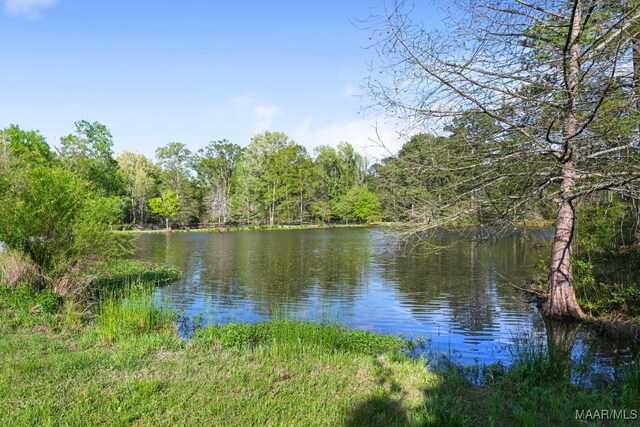 1777 Barganier Rd, Cecil, AL 36013 - water view featuring a heavily wooded area