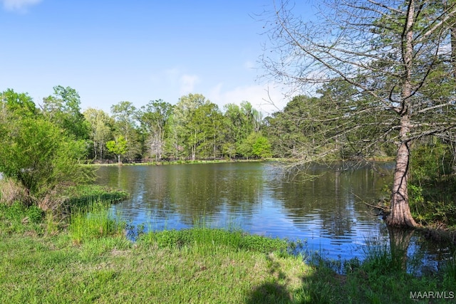 1777 Barganier Rd, Cecil, AL 36013 - photo 55