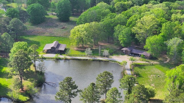 1777 Barganier Rd, Cecil, AL 36013 - overview of rural landscape featuring a nearby body of water