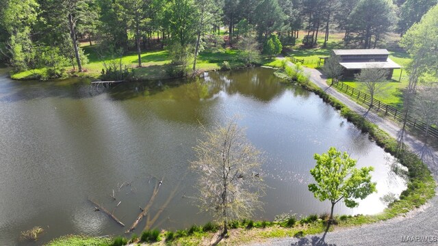 1777 Barganier Rd, Cecil, AL 36013 - water view