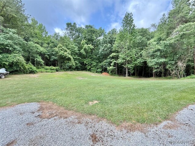 419 County Road 16, Valley Grande, AL 36701 - view of green lawn featuring a wooded view