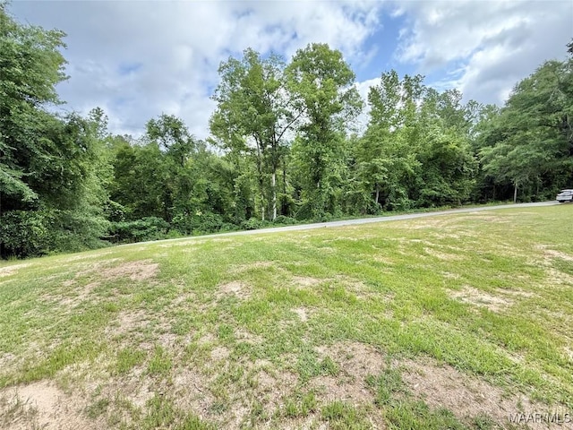 419 County Road 16, Valley Grande, AL 36701 - view of green lawn with a wooded view