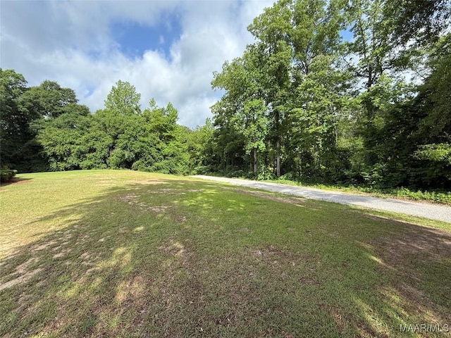 419 County Road 16, Valley Grande, AL 36701 - view of grassy yard