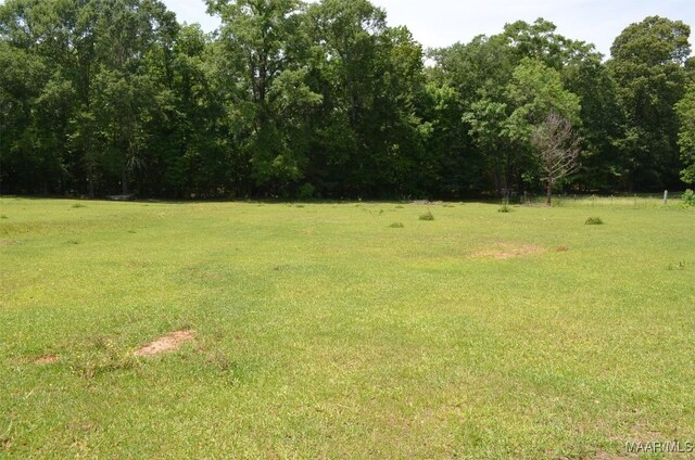 7330 Butler Mill Rd, Ramer, AL 36069 - view of grassy yard