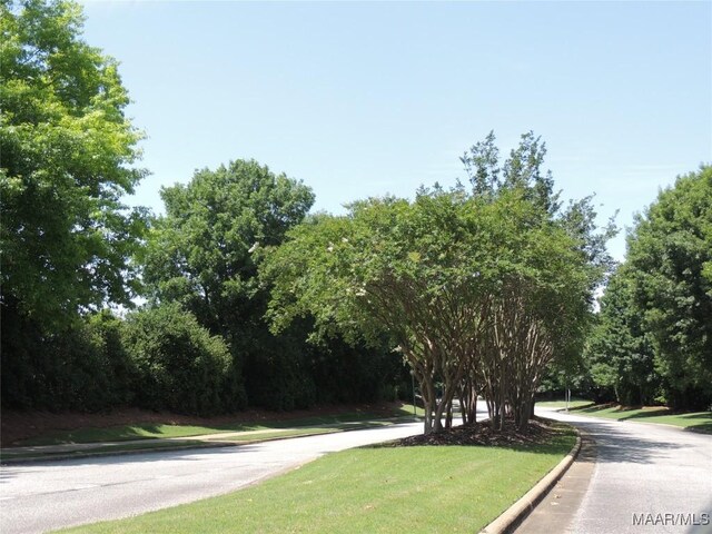 8849 Ashland Park Pl, Montgomery, AL 36117 - photo 69