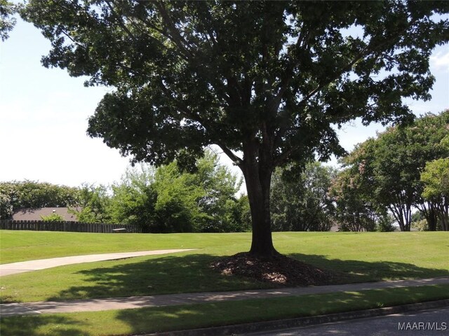 8849 Ashland Park Pl, Montgomery, AL 36117 - photo 70