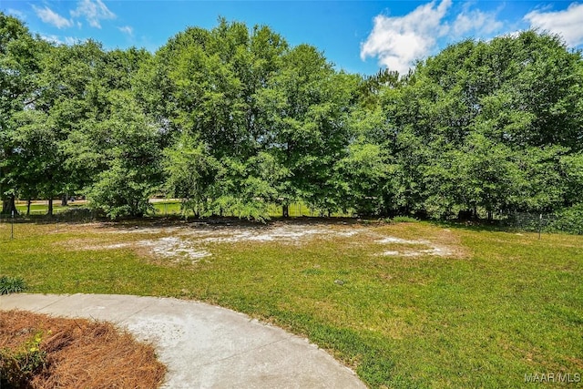 view of grassy yard