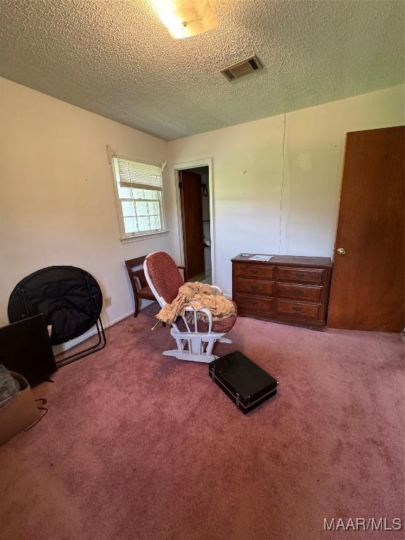 living area with carpet flooring and a textured ceiling