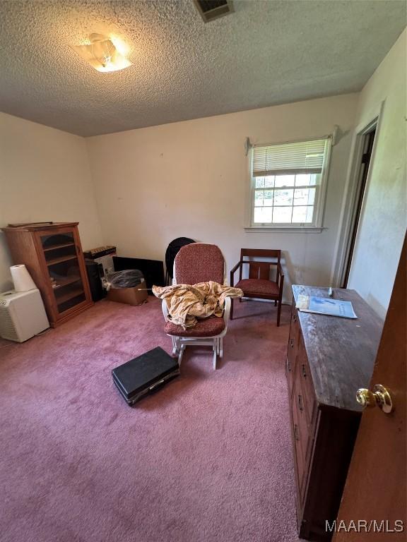 sitting room with a textured ceiling and carpet flooring