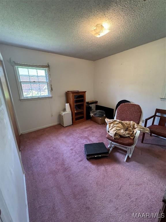 living area featuring a textured ceiling, carpet floors, and baseboards