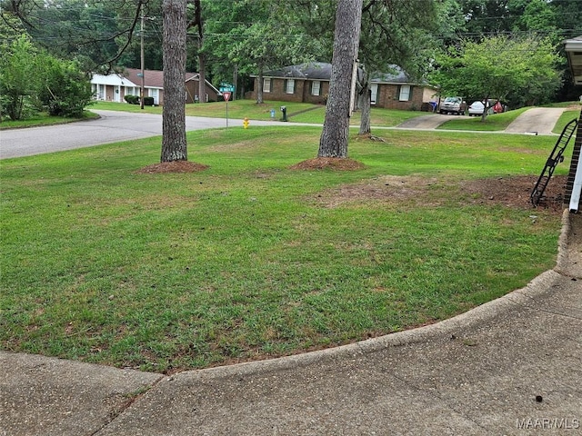 104 Carleton St, Prattville, AL 36067 - view of green lawn with curved driveway