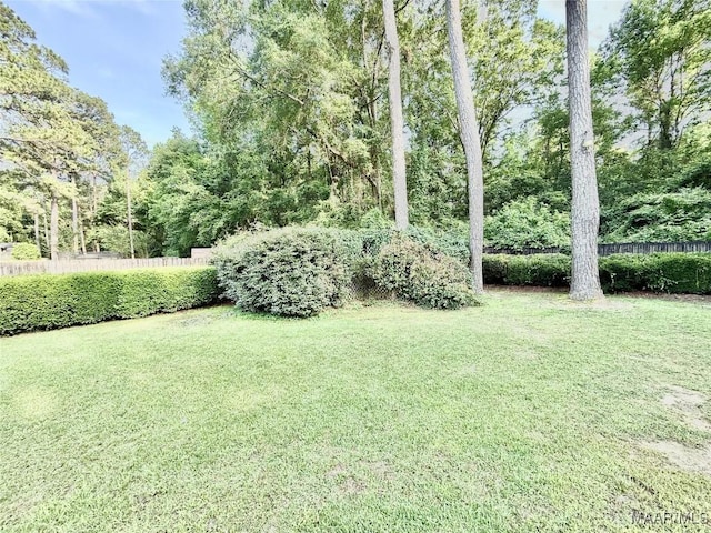36 Wilkins Rd, Selma, AL 36701 - view of yard