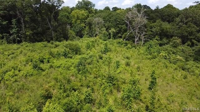 0 Crescent Hill Dr, Selma, AL 36701