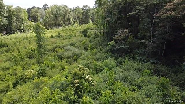 0 Crescent Hill Dr, Selma, AL 36701