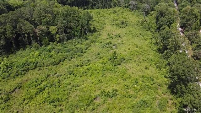 0 Crescent Hill Dr, Selma, AL 36701