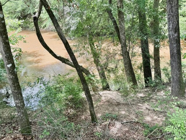 828 Warrior Dr, Valley Grande, AL 36701 - view of nature