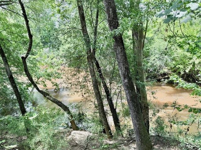 828 Warrior Dr, Valley Grande, AL 36701 - view of undeveloped land