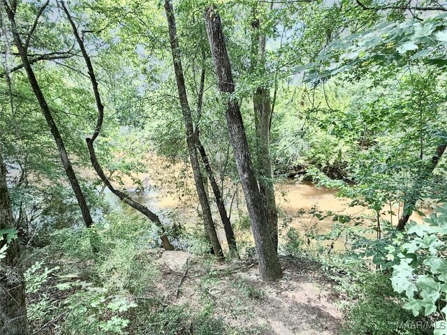 828 Warrior Dr, Valley Grande, AL 36701 - view of tree filled area