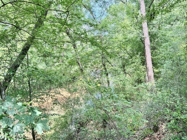 828 Warrior Dr, Valley Grande, AL 36701 - view of tree filled area