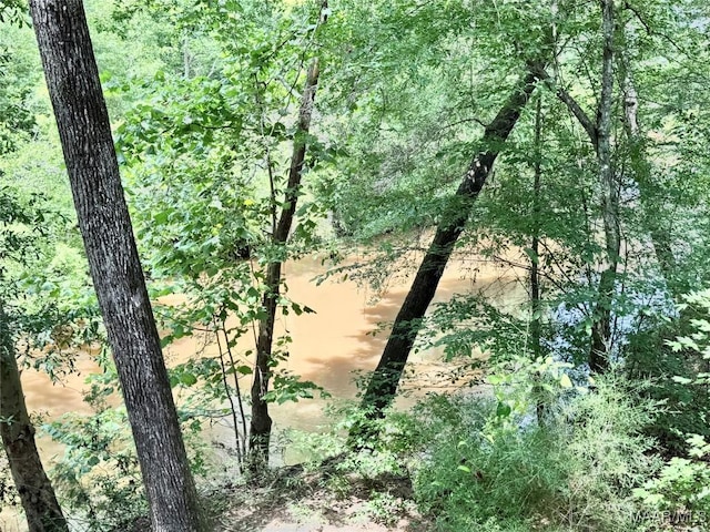 828 Warrior Dr, Valley Grande, AL 36701 - view of undeveloped land