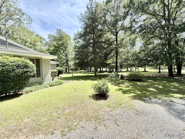 441 County Road 401, Selma, AL 36701 - view of green lawn