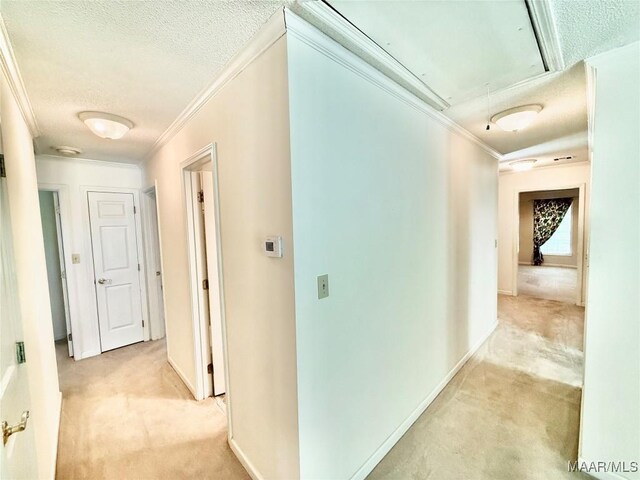 441 County Road 401, Selma, AL 36701 - hall featuring attic access, light carpet, a textured ceiling, ornamental molding, and baseboards