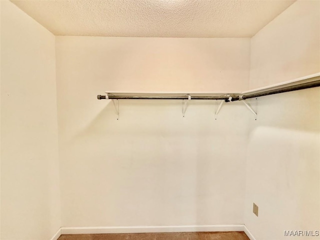441 County Road 401, Selma, AL 36701 - walk in closet with carpet flooring