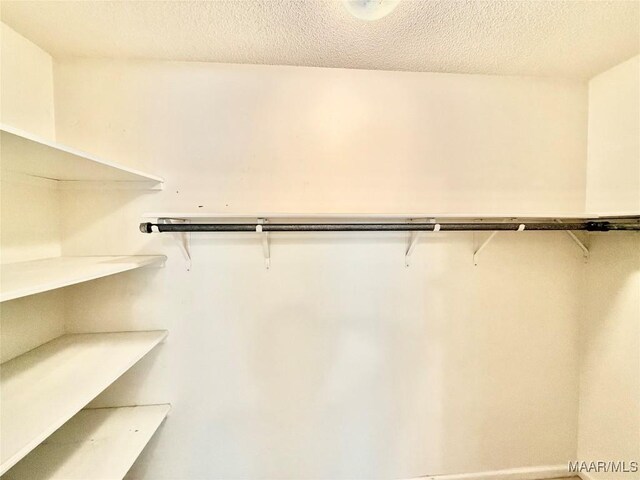 441 County Road 401, Selma, AL 36701 - view of spacious closet